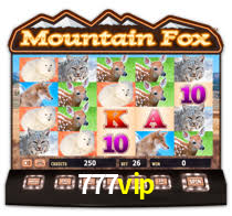 777vip bet